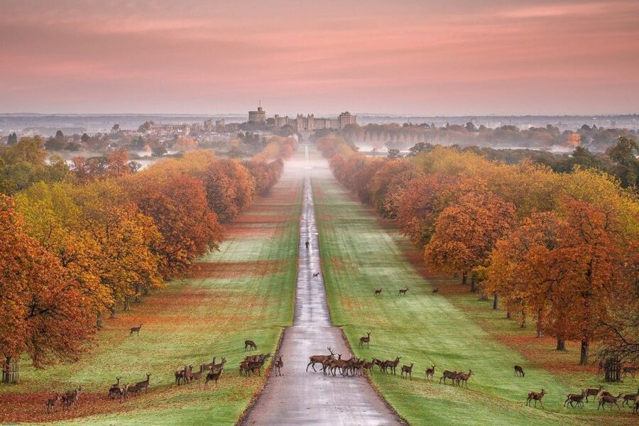 From London: Windsor Castle Afternoon Sightseeing Tour - Two hours inside the castle: enough or too little?