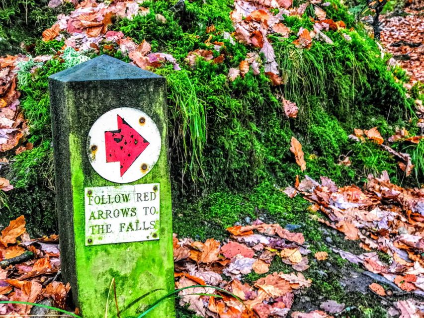 From Manchester: Lake District Sightseeing Day Trip - What the guide and vehicle add