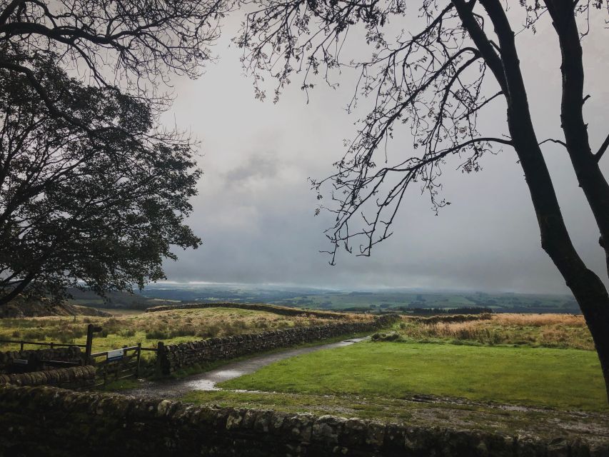 From Newcastle: Hadrian's Wall Day Tour - Walking beside Hadrian’s Wall and its milecastles