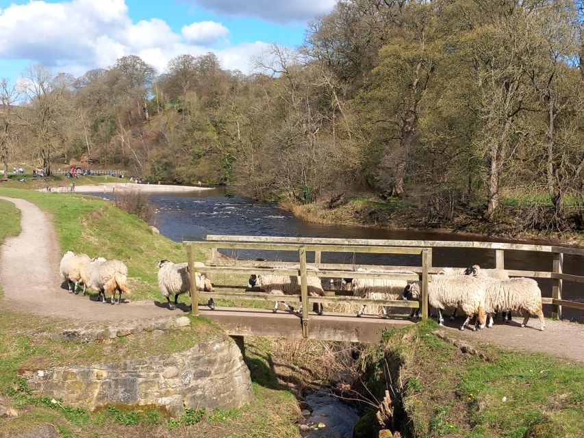 From York: Herriot and Yorkshire Dales Day Trip - Key points before you book