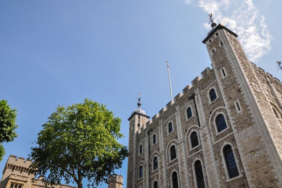 Full-Day London Experience: Tower, St. Pauls, Cruise & Guard - Lunch and the South Bank finish