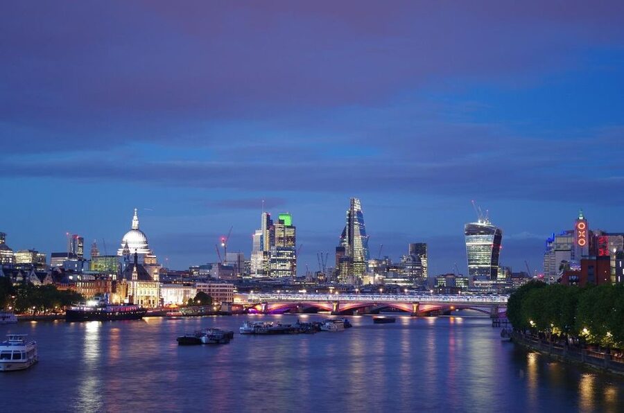 Full Day London Private Tour Including London Pass - Who will get the most from this tour?