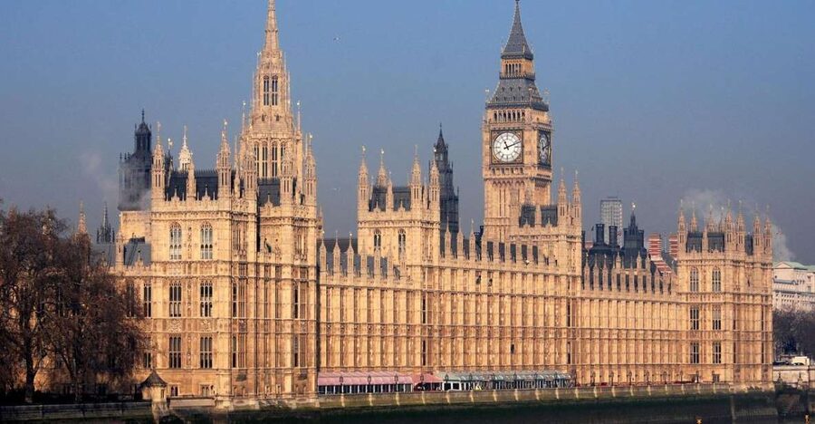 Full Day London Private Tour Including London Pass - A royal morning at Buckingham Palace