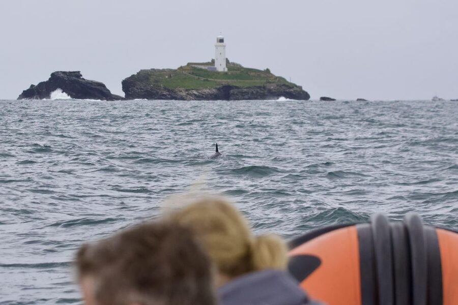 Godrevy to Hell's Mouth Boat Trip - Leaving the estuary for the open coast