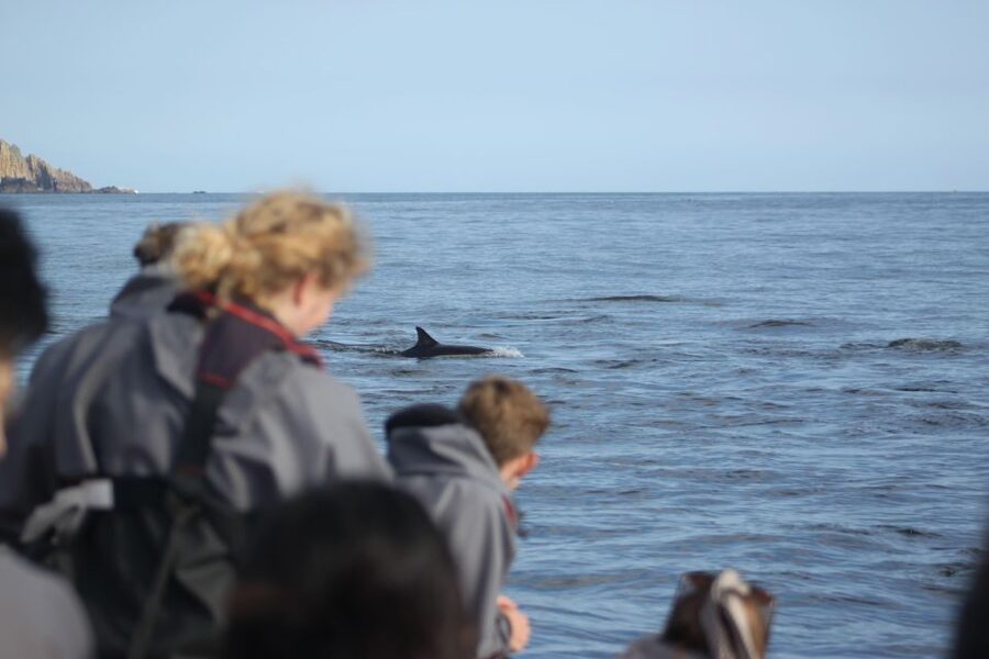 Godrevy to Hell's Mouth Boat Trip - What the guides and crew add
