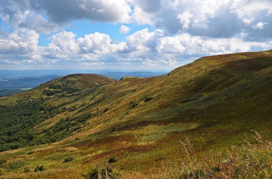 Greenock: Shore Excursion to Stirling Castle and Loch Lomond - How the $92 price works out