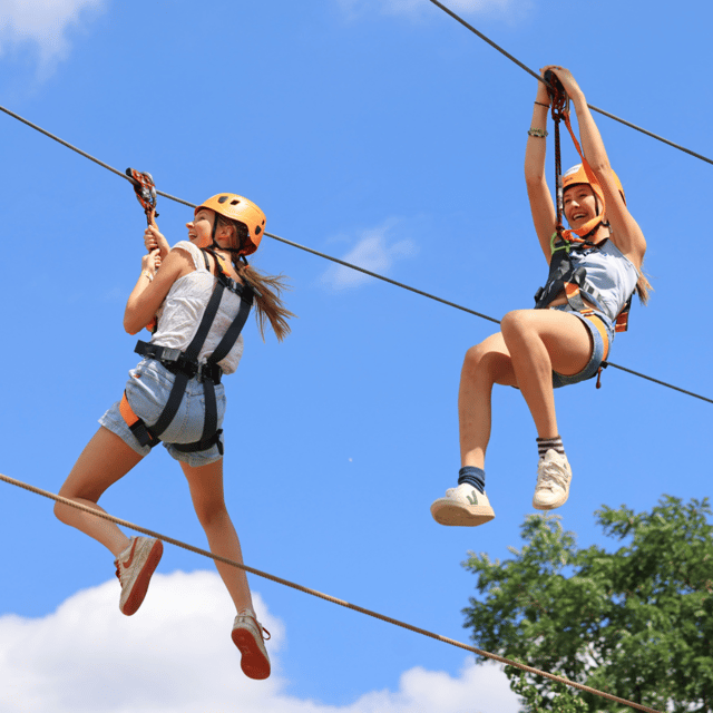 Gripped London: Zip Line, High Ropes & Freefall Adventure - High Ropes: the skill-based start