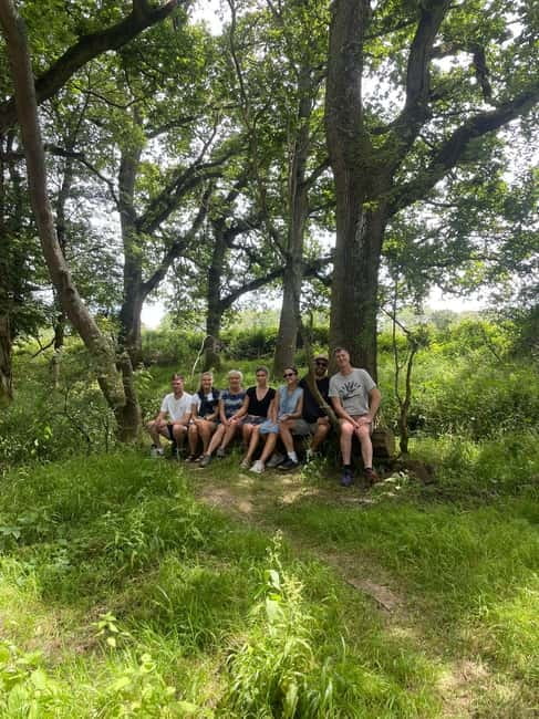 Guided Nature Tour: Pilgrims Way & Bigbury Fort - Key points to know before you book