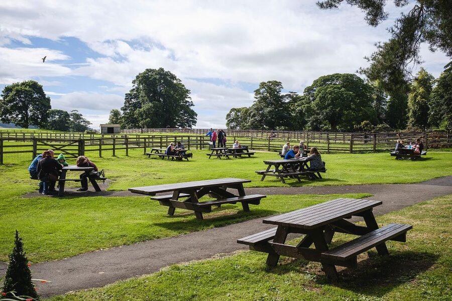 Hadrian's Wall: Chesters Roman Fort and Museum Entry Ticket - Food, access, and practical comfort
