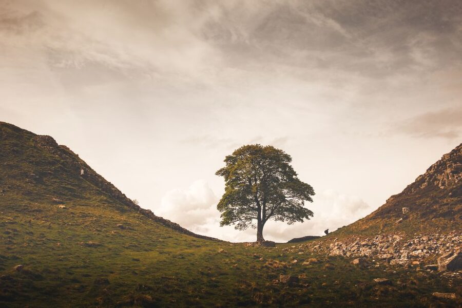 Hadrian's Wall & Roman Britain 1-Day Tour from Edinburgh - Moffat gives the long ride a gentle finish
