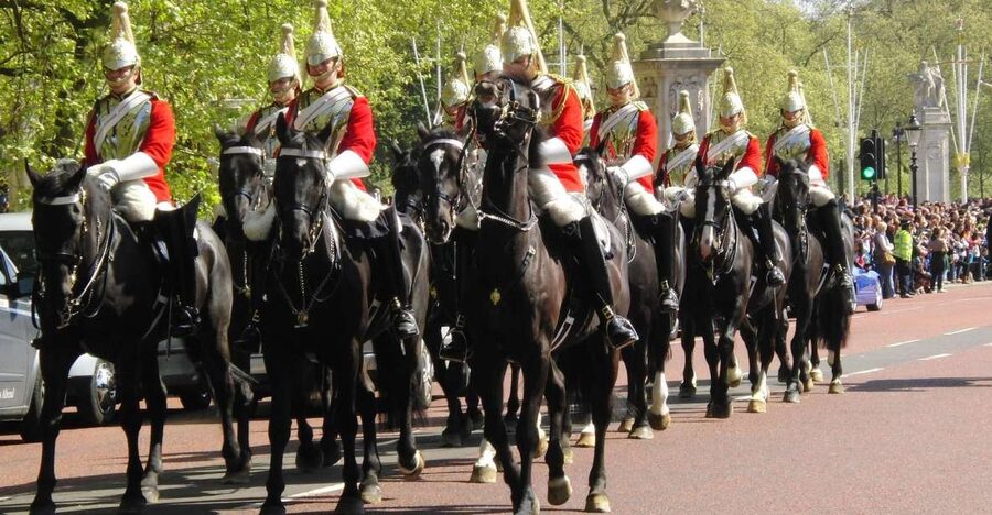 Half Day London Panoramic Private Tour - Buckingham Palace and the 10:45 start