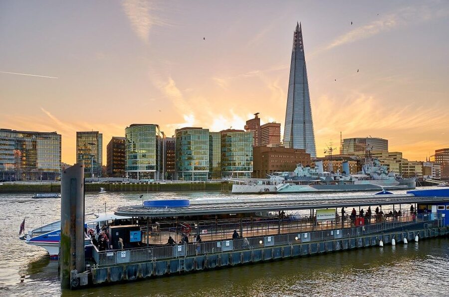 Half Day London Panoramic Private Tour - What the driver-led format really means