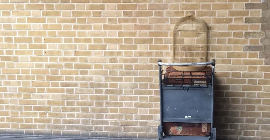 Harry Potter Private Tour of London in Spanish - Booking and practical advice