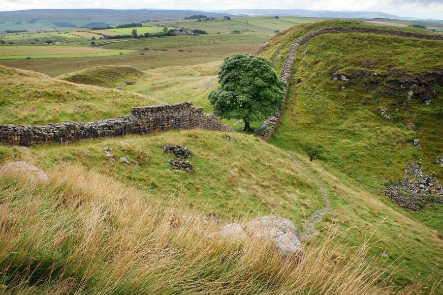 Hexham: Hadrian's Wall and The Romans Full Day Guided Tour - Starting at Cawfield Quarry with a Roman guide