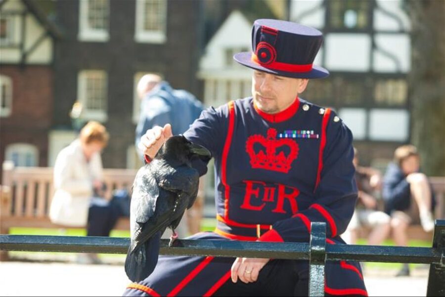 Hop on Hop off London Bus Tour & Tower of London - What to expect at the Tower of London
