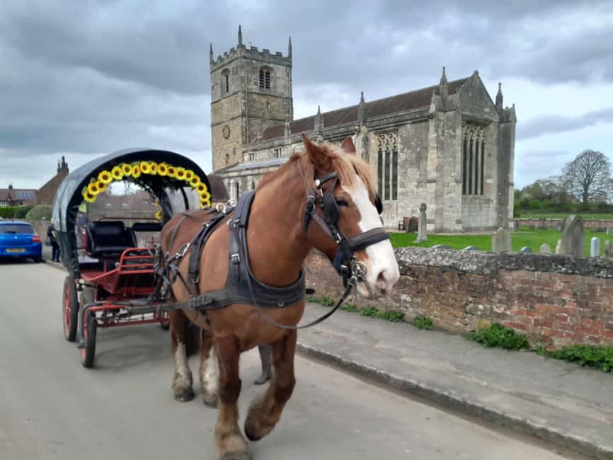 Horse drawn carriage ride and Picnic Hamper - Key details before you book