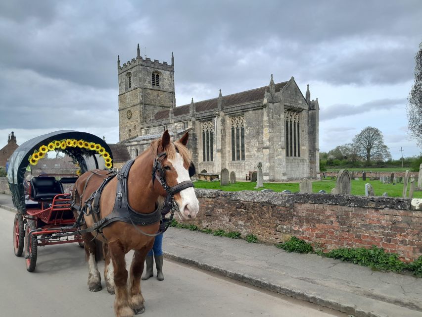 Horse drawn carriage ride and Picnic Hamper - Private woodlands and open countryside