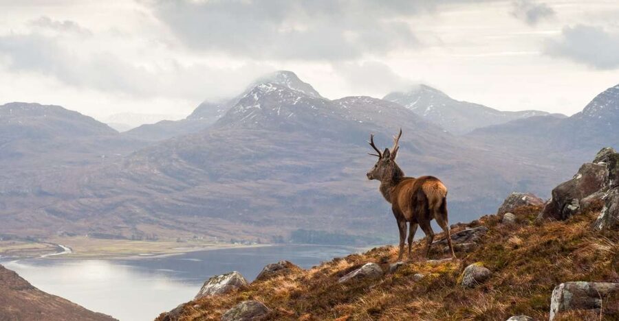 Inverness: Applecross, Loch Carron & Wild Highlands Day Tour - Key points to know before booking