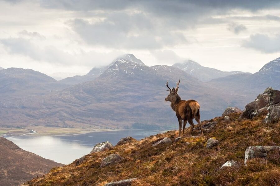 Inverness: Applecross, Loch Carron & Wild Highlands Day Tour - What the $83 price really covers