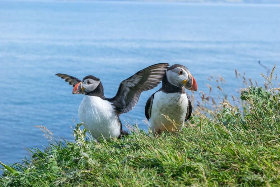 Inverness: Moray Coast, Wildlife and Speyside Whisky Tour - Findhorn gives you a proper beach walk