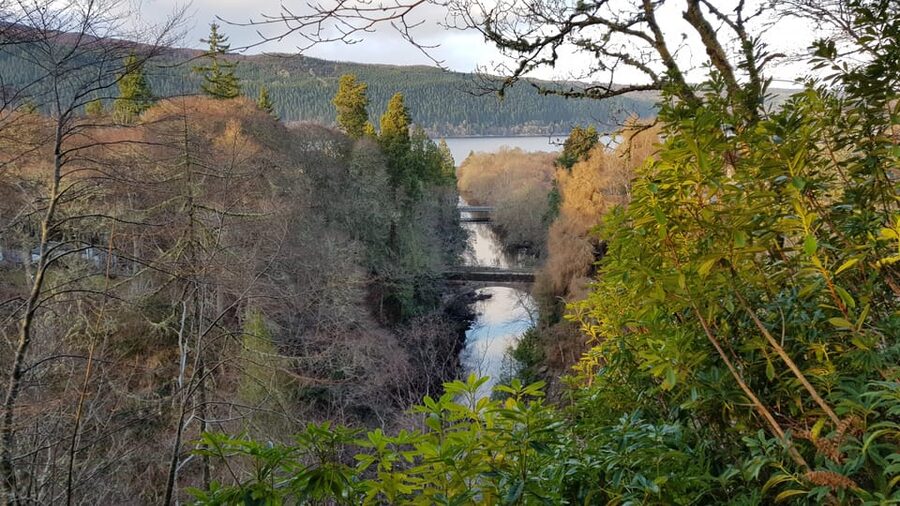 Inverness: Private Secret Hike to the Shores of Loch Ness - Finding a quiet shore on Loch Ness