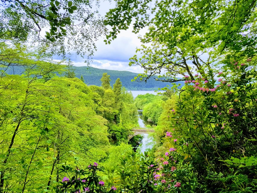 Inverness: Private Secret Hike to the Shores of Loch Ness - A pause for local baking at Waterfall Cafe