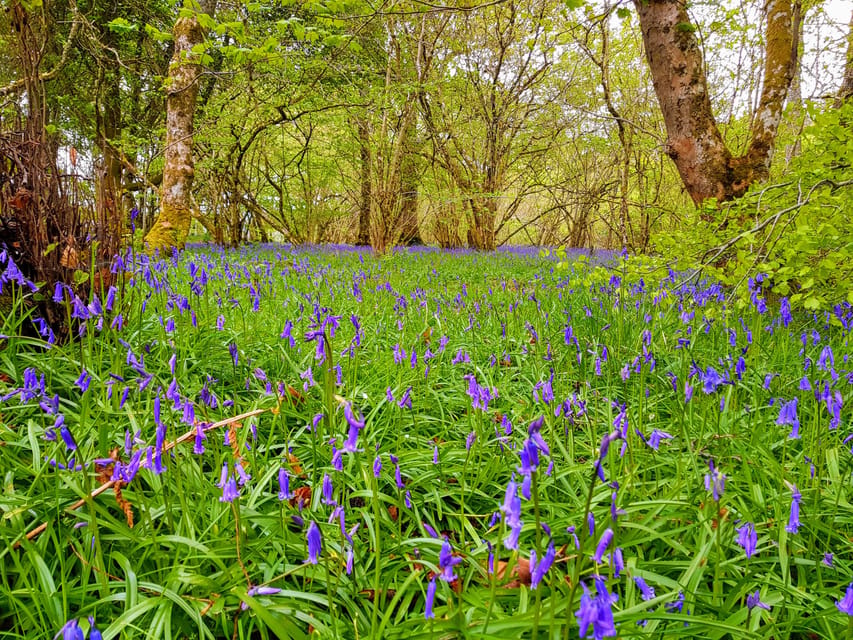 Inverness: Private Secret Hike to the Shores of Loch Ness - Culloden Battlefield adds the emotional finish