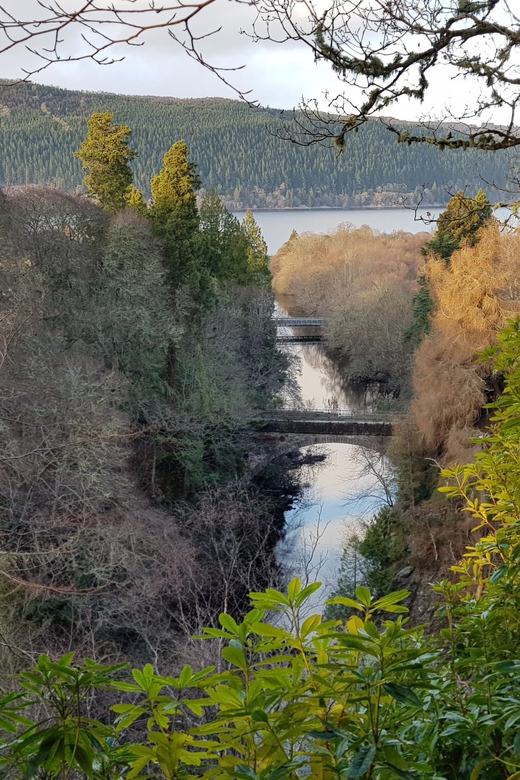 Inverness: Private Secret Hike to the Shores of Loch Ness - Walking through Foyers and the Caledonian pines
