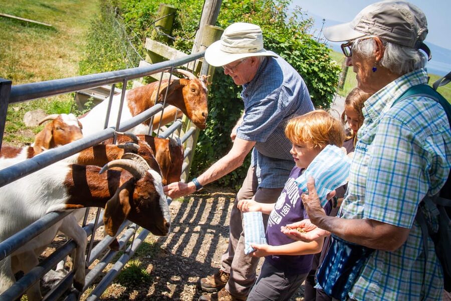 Isle of Arran: Exclusive Private Farm Tour with the Farmer - Six Practical Questions To Ask Before You Go