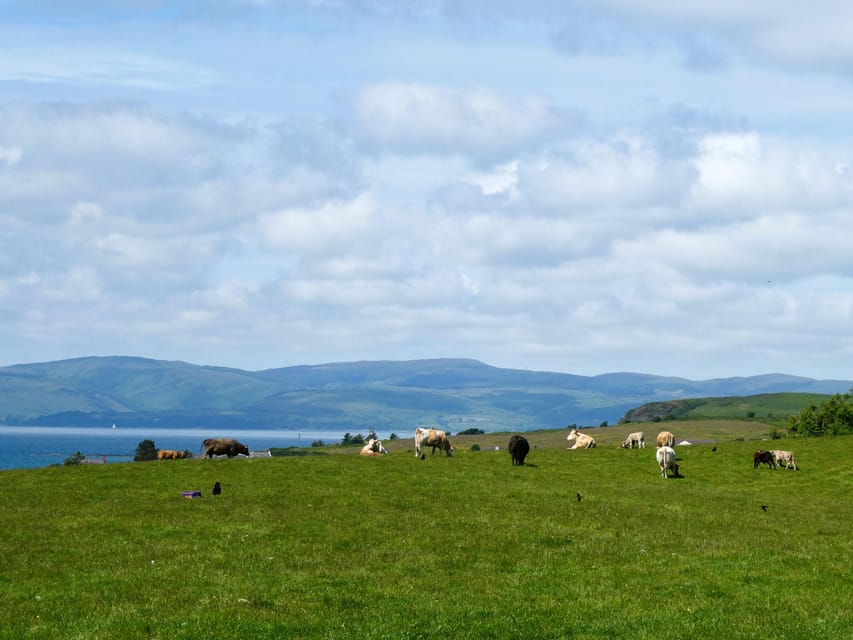 Isle of Arran: Exclusive Private Farm Tour with the Farmer - Arriving At Bellevue Farm On The A841
