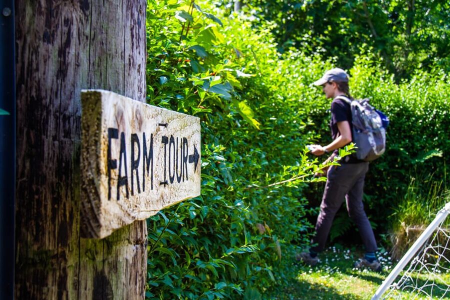 Isle of Arran: Exclusive Private Farm Tour with the Farmer - Walking Through The Barley Fields
