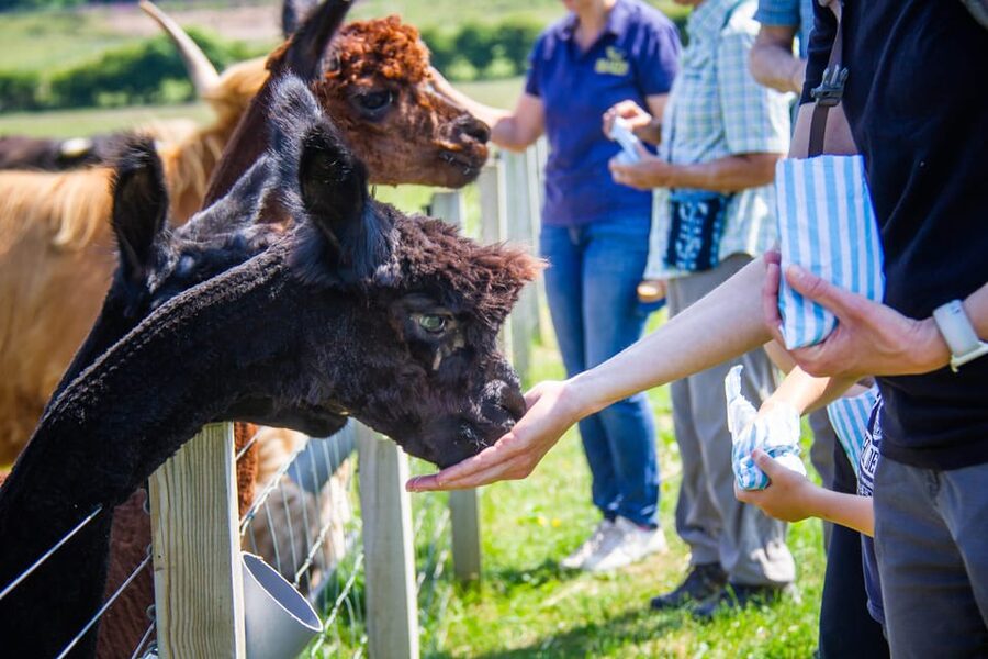 Isle of Arran: Exclusive Private Farm Tour with the Farmer - What To Wear And What To Bring