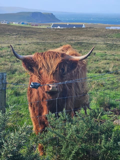 Isle of Skye: Tour the highlights and hidden beauties. - Why a private guide helps on Skye