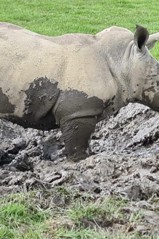 Knowsley: Safari Entry Tickets - Starting with the 550-acre safari drive