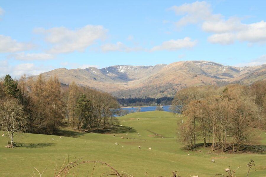 Lake District: Langdale Valley and Coniston Half-Day Tour - Coniston village and a short guided walk