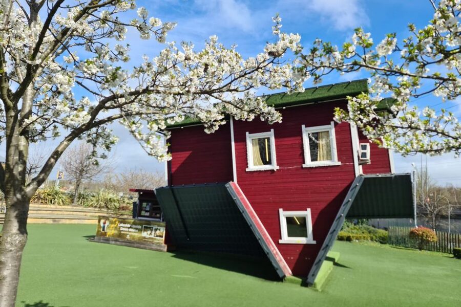Lakeside: Upside Down House Entry Ticket - Taking better upside-down photos
