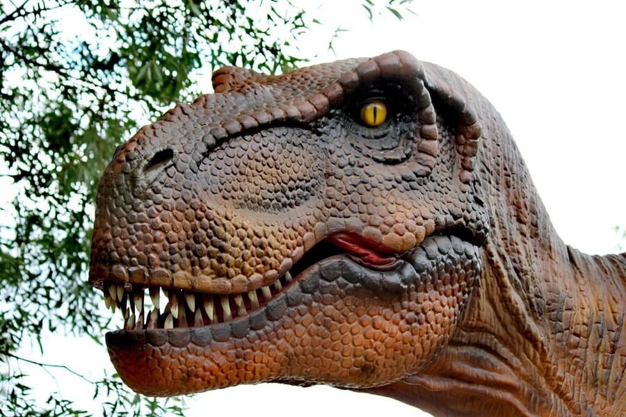 Lincolnshire: ARK Wildlife and Dinosaur Park Entry Ticket - Indoor play areas for wet-weather rescue
