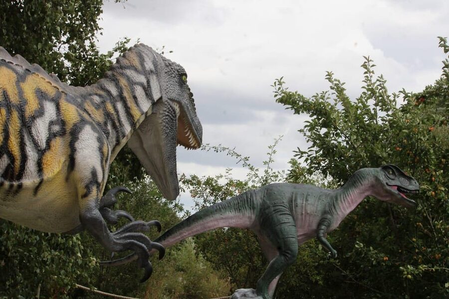 Lincolnshire: ARK Wildlife and Dinosaur Park Entry Ticket - Is the $18 entry price good value?