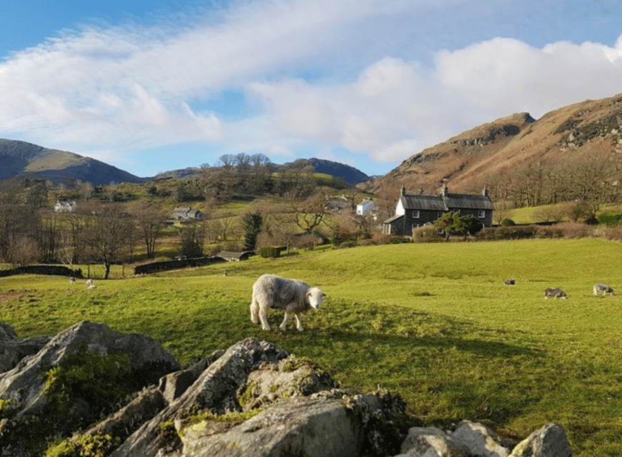Liverpool: Lake District Tour with Lake Cruise & Train Ride - Key points before you book