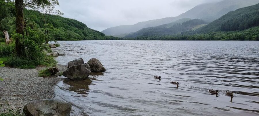 Loch Lomond and The Highlands Day Tour - Loch Lomond and the Trossachs: an easy opening stop