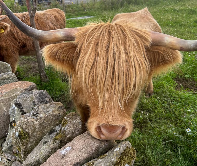 Loch Lomond, Stirling Castle and the Kelpies: Private Tour - The pace, comfort, and practical limits