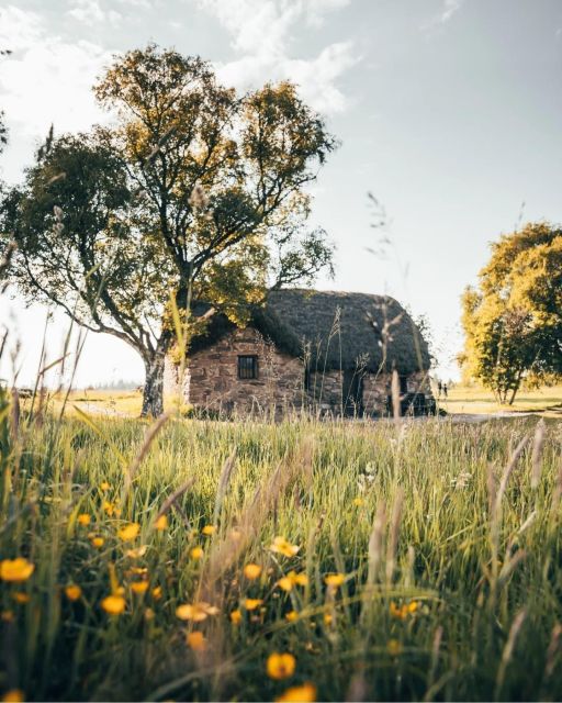 LOCH NESS, INVERNESS, CLAVA CAIRNS & MORE FROM INVERGORDON - A practical Highlands day from Invergordon