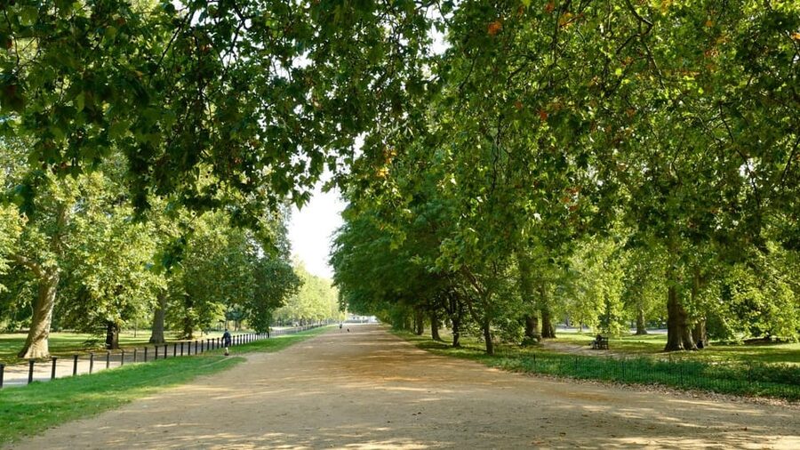 London: 24-Hour Hop-On Hop-Off Bus Pass - Why this bus tour works well for a first look at London