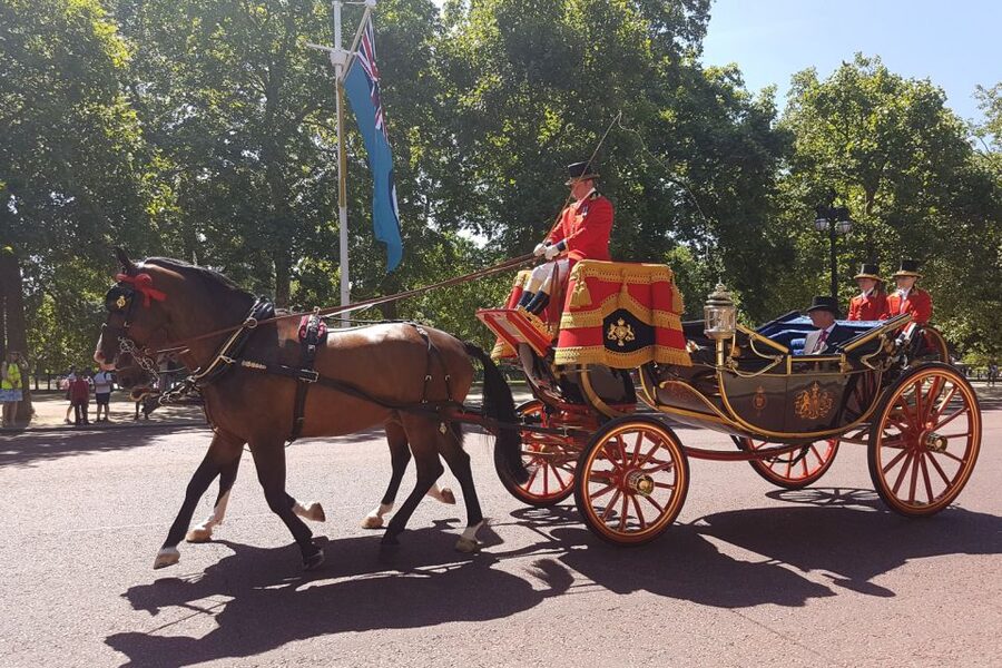 London: 30 London Sights Guided Walking Tour - How hard is five hours of walking?