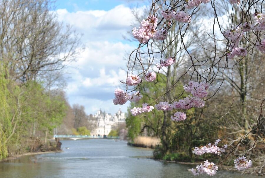 London: 4-Hour Panoramic Tour by Black Taxi - Key Points at a Glance