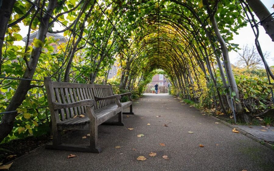 London Afternoon Tea, Fast-Track Kensington Palace Tickets - What this Kensington Palace experience really includes