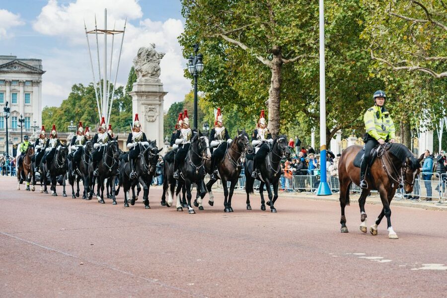 London: Changing of The Guard Tour - What happens if the ceremony changes?