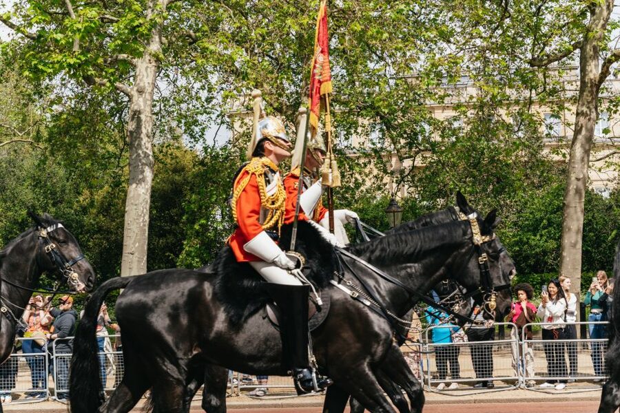 London: Changing of the Guard Tour by Buckingham Palace - Key points before you book