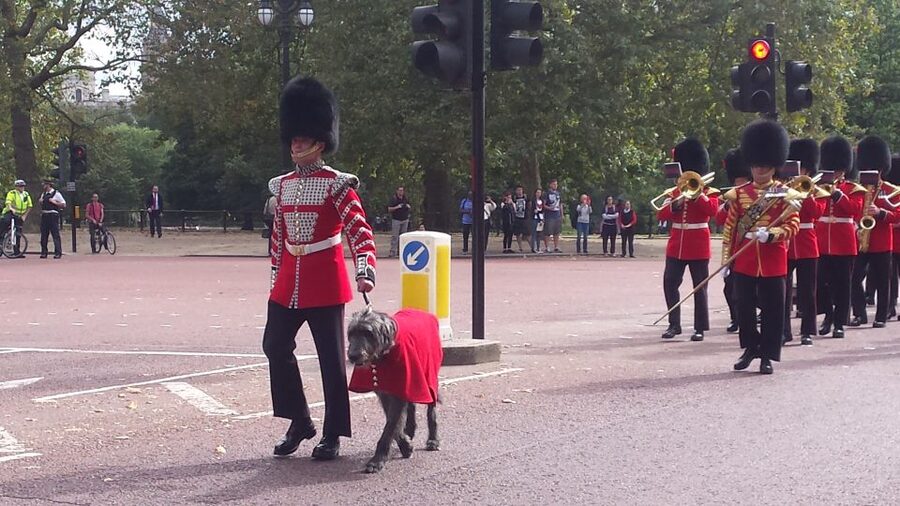 London: Changing of the Guard Walking Tour - St James’s Palace and the early ceremony