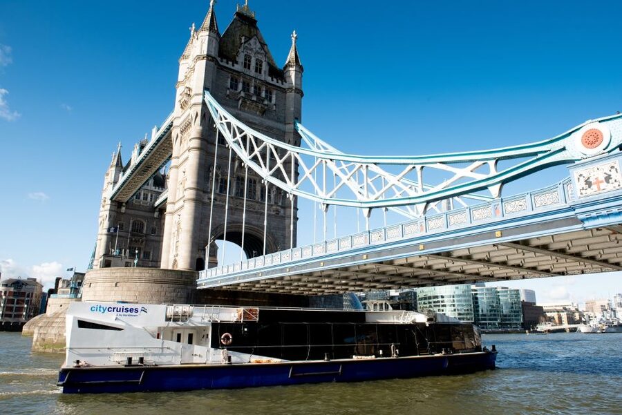 London: Christmas Day Sightseeing Cruise - Westminster and Big Ben from the river